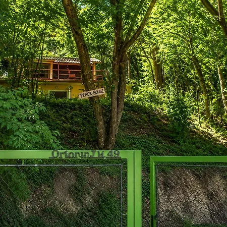 Peace House
