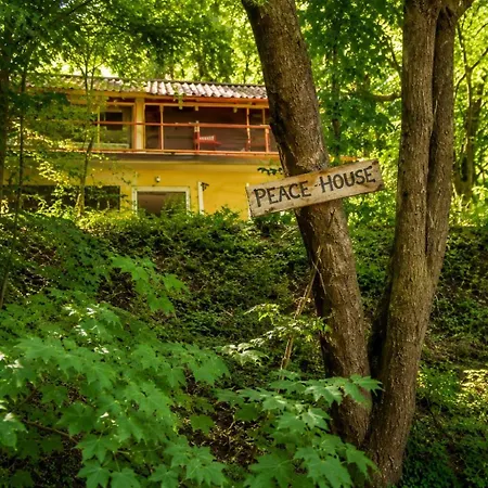 Peace House Ostřihom